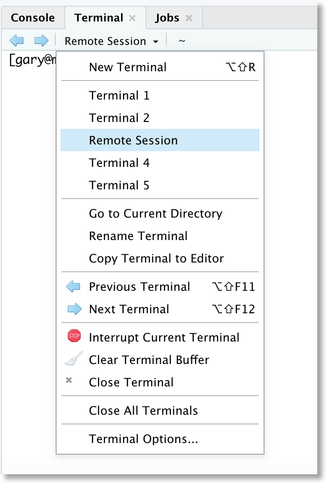 screenshot showing a renamed terminal